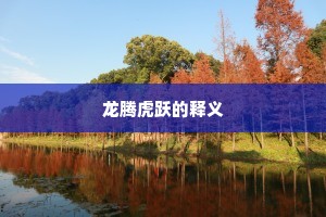 龙腾虎跃的释义