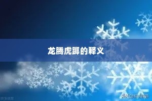 龙腾虎踯的释义