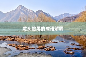 龙头蛇尾的成语解释