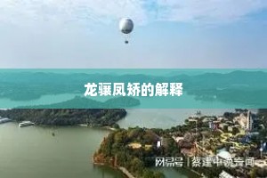 龙骧凤矫的解释