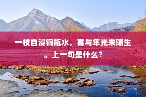 不于祖龙留面目，遗篇那得到今朝。上一句是什么？