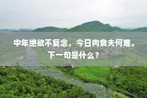 且维轻舸更迟迟，别酒重倾惜解携。的解释