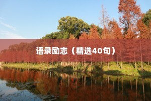 治愈心暖情感语录（通用8篇）
