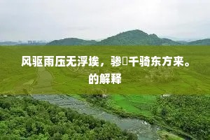 今宵帘幕扬花阴，空馀枕泪独伤心。的释义