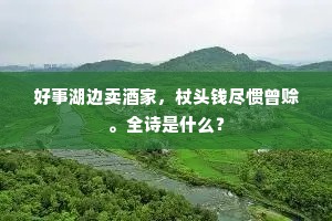 护过饰非成语的释义