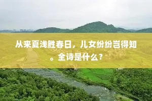 严妆才罢怨春风，粉墙画壁宋家东。的解释
