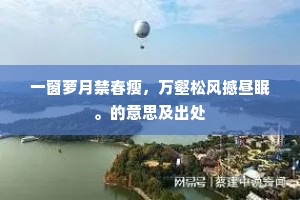 两条玉箸为君垂，此宵情，谁共说？的释义