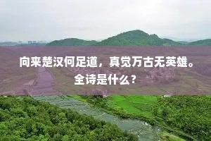 班定千牛立受宣，佩刀搢笏凤墀前。全诗是什么？