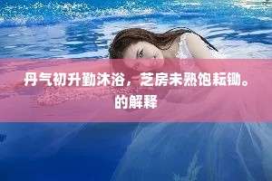 晓日曈曨瞻玉案，丁冬环珮满彤墀。的解释