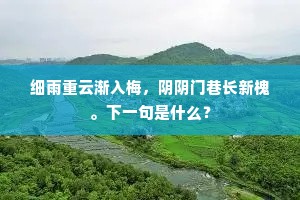 汗涣丝纶出丹禁，便从天上凤衔将。上一句是什么？