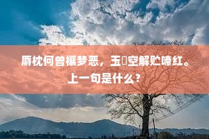 黄钟长弃成语的拼音