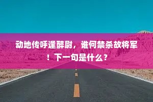 芙蓉冠子水精簪，闲对君王理玉琴。的释义