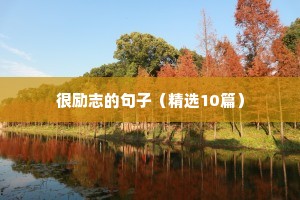 心情励志的句子 正能量（通用10篇）