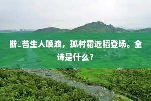 黄金窗下忽然惊，征人归日二毛生。下一句是什么？