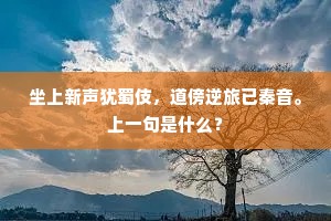 有佳期，霞帔金丝薄，花冠玉叶危。下一句是什么？