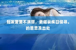如今纸上空形影，曾在秋风十二闲。下一句是什么？