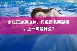 元戎承制扫蛮方，踏遍先王旧战场。的释义