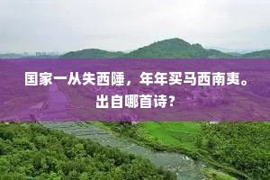 瑶阶已化飞凫舄，银汉空余泛斗槎。的解释