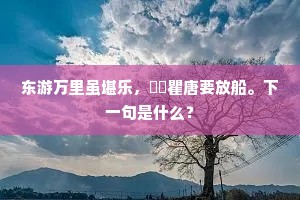 一朝日华忽西被，宇宙淋漓荡元气。的释义