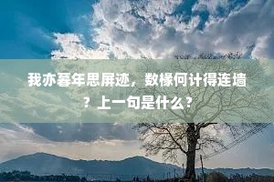 已闻文翁教岷蜀，此邦更在岷之阳。上一句是什么？