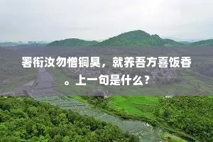 不是莲花幕下宾，安得文光贯南斗。的释义