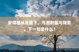 小船行行过晴轩，衾紬帷楮兴修然。的意思及出处