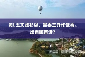 浑水摸鱼成语的解释