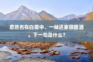 炼成正气功应大，养得元神道不差。出自哪首诗？