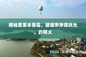 混淆黑白成语的拼音