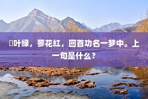 野旷天寒气象嘉，浮云浓淡日初斜。的解释