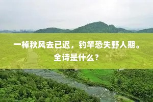 分明记得经行处，青草湖边第几湾。的意思及出处