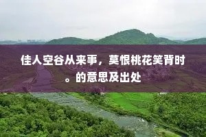 寺压苍厓势欲倾，欢然西度为谁兴。的解释