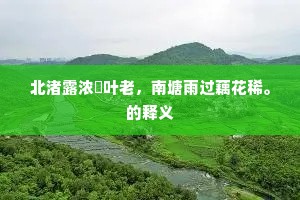 海岸楼台青嶂外，人家箫鼓白鸥边。的释义