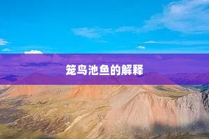 莫道相逢是容易，与君头鬓各丝丝。全诗是什么？