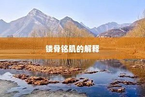积习成俗成语的拼音