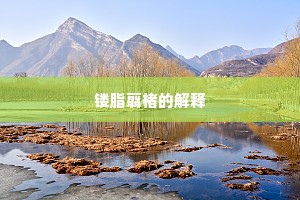 镂脂翦楮的解释