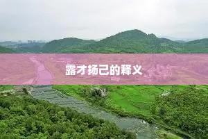 露才扬己的释义