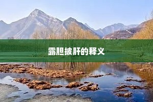 露胆披肝的释义