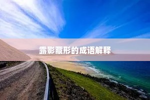 露影藏形的成语解释