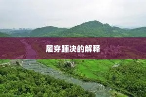 履穿踵决的解释