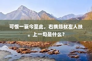 忆昔垂髫里闬间，披云常睹一峰巑。上一句是什么？
