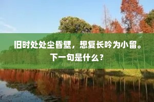 及笄年华成语的释义