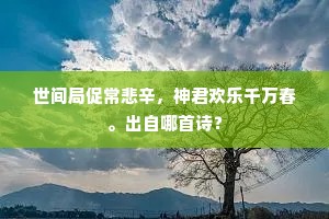 极情尽致成语的拼音