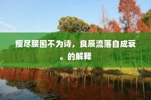 急惊风撞着慢郎中成语的解释