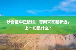 清光并入书仙府，寒色偏留逐客船。的解释