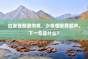 繁华盖尽一时间，烟雨濛濛气象閒。的释义