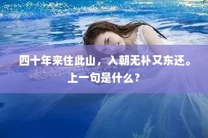 惟有角声吹不断，斜阳横起九峰楼。的意思及出处