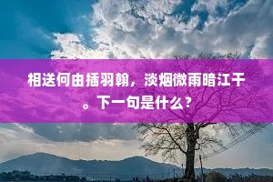 荷花满眼都无主，闇里风飘入袖香。的意思及出处