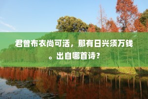 白酒一壶贤圣乐，古书千卷弟兄传。的意思及出处