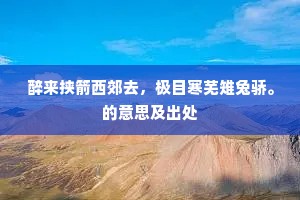 我拔一毛犹自苦，师除双臂信如閒。的解释